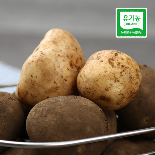 예카 공구 ❤️ 제주도 유기농 감자 2kg 3kg 5kg 10kg